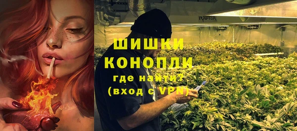 бошки Инта