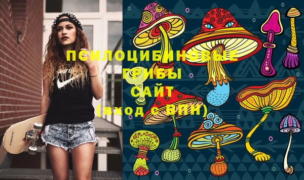 PSILOCYBIN Беломорск