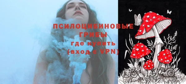 не бодяженный Галич